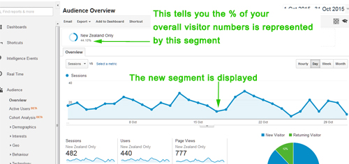 analytics segments8