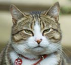 oscar